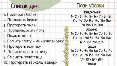 Photo of Идеальный план для генеральной уборки