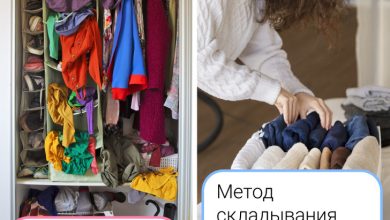 Photo of Организация уборки: шаг за шагом